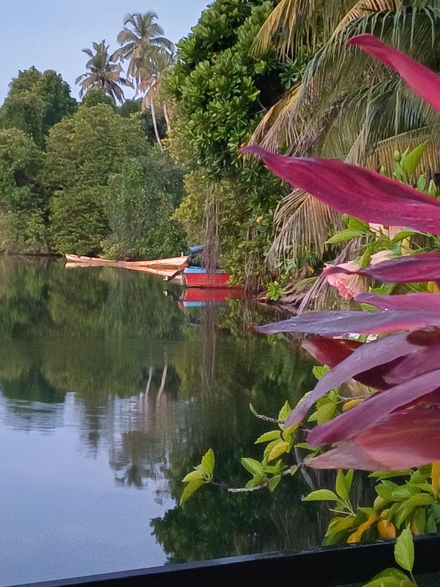 Villa River View Aluthgama Zewnętrze zdjęcie